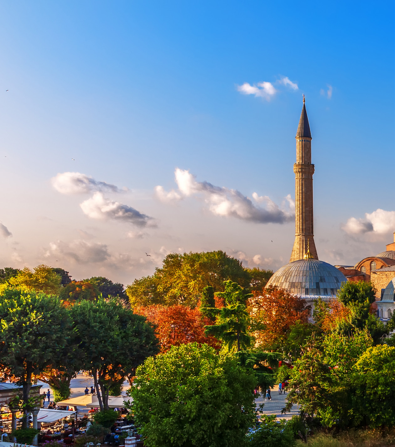 Minarett und Moscheelandschaft